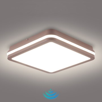 Brilagi - LED välilaelamp liikumisanduriga BENE LED/24W/230V 26x26 cm pruun IP54