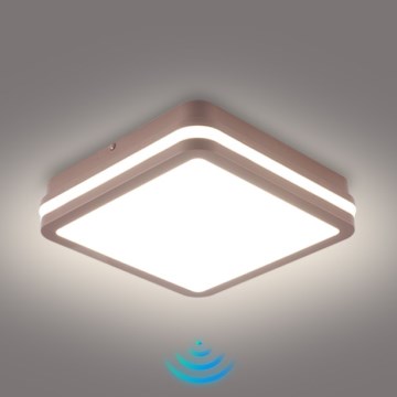 Brilagi - LED-välilaevalgusti BENE anduriga LED/18W/230V 21,5x21,5 cm pruun IP54