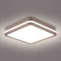 Brilagi - LED välilaevalgusti BENE LED/24W/230V 26x26 cm pruun IP54