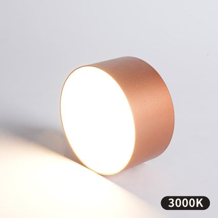 BRILAGI - LED Välislaevalgusti FORIS LED/14W/230V läbimõõt 12 cm pronksivärvi IP44