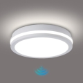 Brilagi - LED-välislaelamp BENE liikumisanduriga LED/24W/230V, läbimõõt 26 cm, valge, IP54