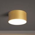BRILAGI - LED välislaelamp FORIS LED/14W/230V läbimõõt 12 cm kuldne IP44