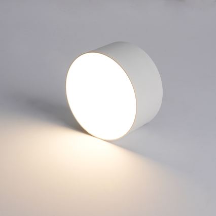 BRILAGI - LED välislaelamp FORIS LED/14W/230V läbimõõt 12 cm valge IP44
