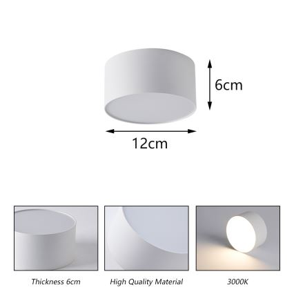 BRILAGI - LED välislaelamp FORIS LED/14W/230V läbimõõt 12 cm valge IP44