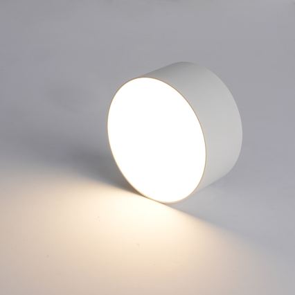 BRILAGI - LED välislaelamp FORIS LED/20W/230V, läbimõõt 15 cm, valge, IP44