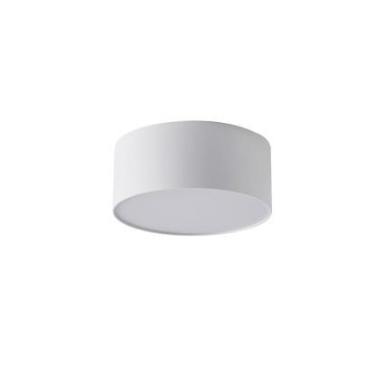 BRILAGI - LED välislaelamp FORIS LED/20W/230V, läbimõõt 15 cm, valge, IP44
