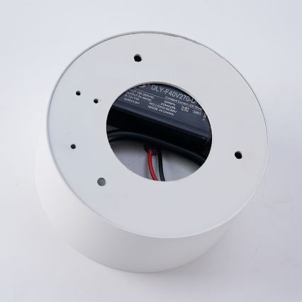 BRILAGI - LED välislaelamp FORIS LED/20W/230V, läbimõõt 15 cm, valge, IP44