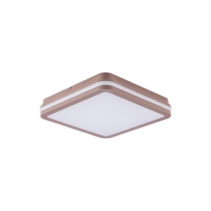 Brilagi - LED välilaevalgusti BENE LED/24W/230V 26x26 cm pruun IP54