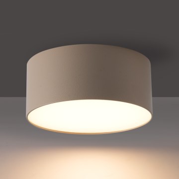 BRILAGI - LED Välislaevalgusti FORIS LED/14W/230V läbimõõt 12 cm beež IP44