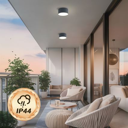 BRILAGI - LED välilaevalgusti FORIS LED/14W/230V läbimõõt 12 cm antratsiit IP44