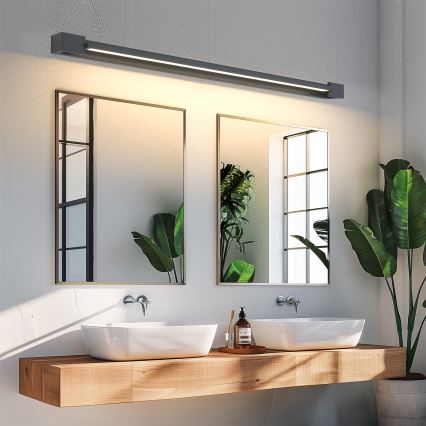 Brilagi - LED välisseinavalgusti AQUA LINE LED/36W/230V 120 cm IP44 antratsiit CRI 90