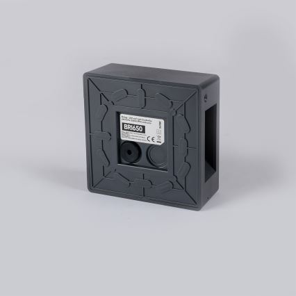 Brilagi - LED välisseinale paigaldatav seinavalgusti DOUBLERAY LED/6W/230V antratsiit IP54