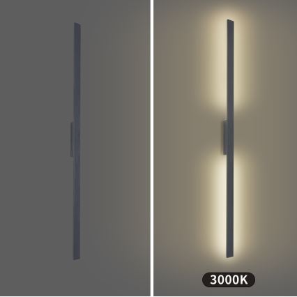 Brilagi - LED välisseinavalgusti LUNA LED/30W/230V 3000K IP65 150 cm antratsiit CRI 90