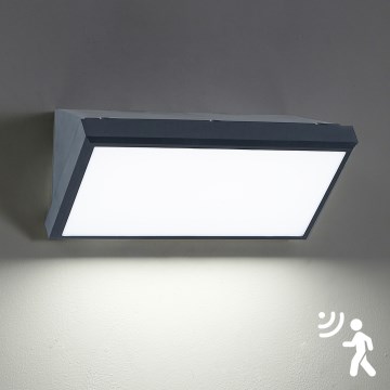 Brilagi - LED välisseinavalgusti anduriga TRIANGLE LED/20W/230V antratsiit IP65