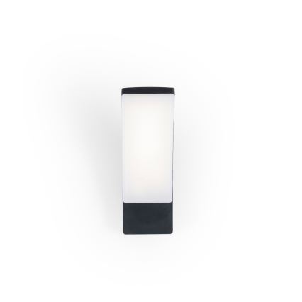BRILAGI - LED välisseinavalgusti ARCELO LED/12W/230V IP65 must