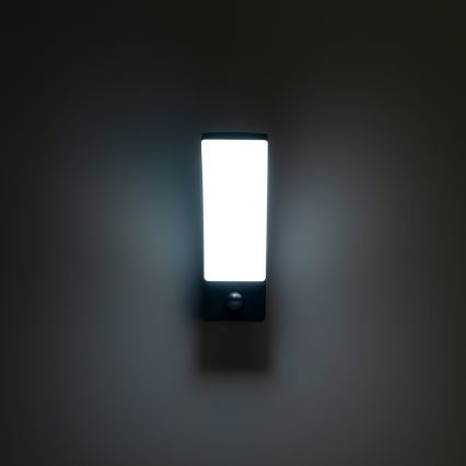 BRILAGI - LED välisvalgusti seinale liikumis- ja hämarusanduriga ARCELO LED/12W/230V IP65 must