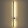 Brilagi - LED välisseinavalgusti AURA LED/20W/230V 3000K IP54 97 cm antratsiit