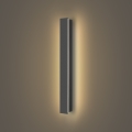 Brilagi - LED välisseinavalgusti LINEAR LED/12W/230V 3000K IP65 50 cm antratsiit