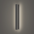 Brilagi - LED välisseinavalgusti LINEAR LED/12W/230V 4000K IP65 50 cm antratsiit