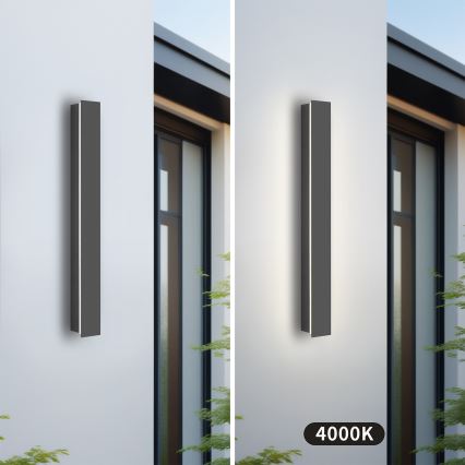 Brilagi - LED välisseinavalgusti LINEAR LED/12W/230V 4000K IP65 50 cm antratsiit