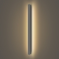 Brilagi - LED välisseinavalgusti LINEAR LED/22W/230V 3000K IP65 100 cm antratsiit