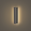 Brilagi - LED välisseinavalgusti LINEAR LED/8W/230V 3000K IP65 30 cm antratsiit
