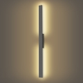Brilagi - LED välisseinavalgusti LUNA LED/24W/230V 3000K IP65 100 cm antratsiit