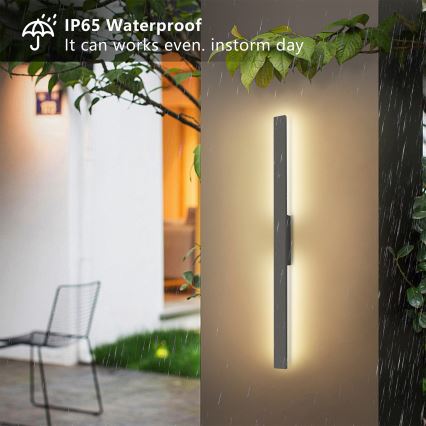 Brilagi - LED välisseinavalgusti LUNA LED/24W/230V 3000K IP65 100 cm antratsiit