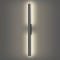 Brilagi - LED välisseinavalgusti LUNA LED/24W/230V 4000K IP65 100 cm antratsiit