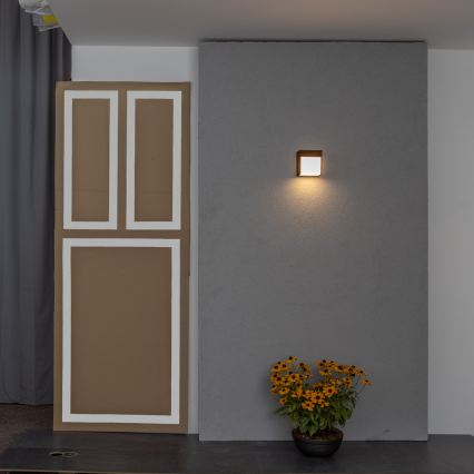 BRILAGI - LED välisseinavalgusti TERNI LED/12W/230V pruun IP44