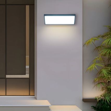 Brilagi - LED välisseinavalgusti TRIANGLE LED/42W/230V 3000/4000/6500K antratsiit IP65