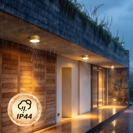 BRILAGI - LED välistingimustele mõeldud laevalgusti FORIS LED/20W/230V läbimõõt 15 cm kuldne IP44