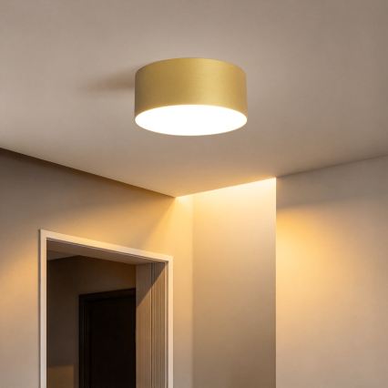 BRILAGI - LED välistingimustele mõeldud laevalgusti FORIS LED/20W/230V läbimõõt 15 cm kuldne IP44