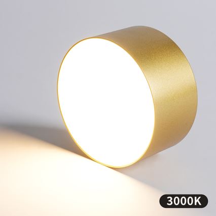 BRILAGI - LED välistingimustele mõeldud laevalgusti FORIS LED/20W/230V läbimõõt 15 cm kuldne IP44
