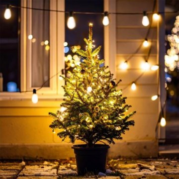 Brilagi - LED välistingimustes kasutatav jõulugirland 10xLED/3xAA 3,2m IP44 soe valge