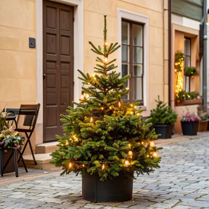 Brilagi - LED välistingimustes kasutatav jõulugirland 10xLED/3xAA 3,2m IP44 soe valge