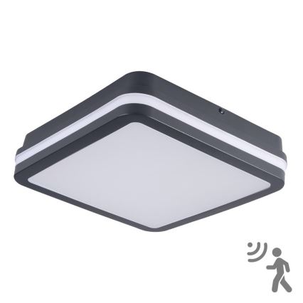 Brilagi - LED välisvalgusti liikumisanduriga BENE LED/18W/230V 22x22 cm antratsiit IP54
