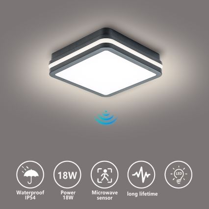 Brilagi - LED välisvalgusti liikumisanduriga BENE LED/18W/230V 22x22 cm antratsiit IP54