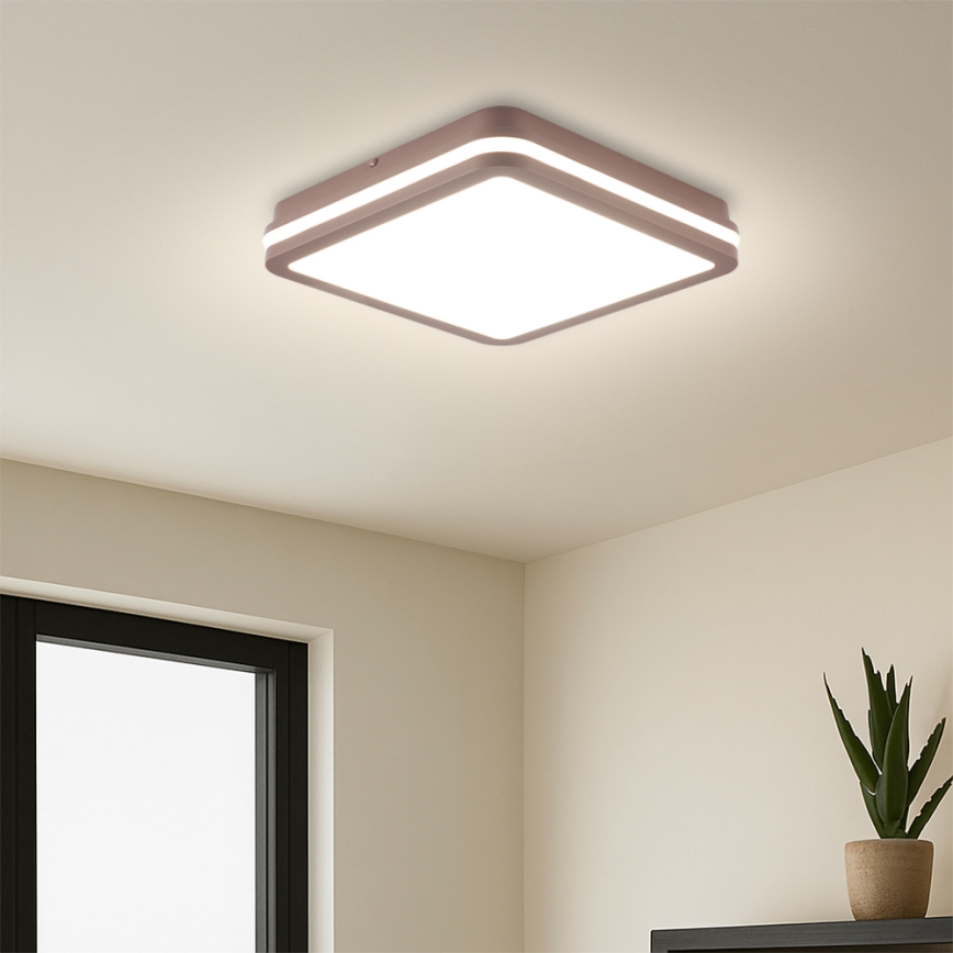 Brilagi - LED välilaelamp liikumisanduriga BENE LED/24W/230V 26x26 cm pruun IP54