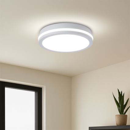 Brilagi - LED-välislaelamp BENE liikumisanduriga LED/24W/230V, läbimõõt 26 cm, valge, IP54