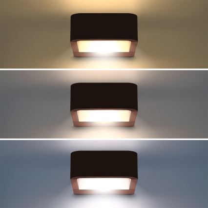 Brilagi - LED välisseinavalgusti BARI LED/7W/230V 3000/4000/6000K pruun IP54