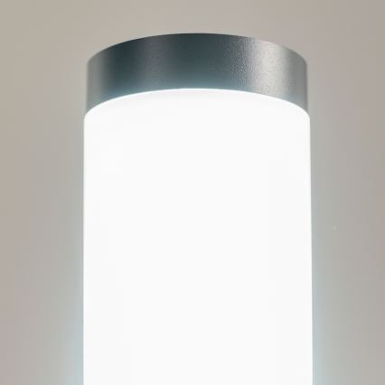 BRILAGI - LED välisvalgusti ELIA 1xE27/7W/230V 4000K IP44 50 cm antratsiit