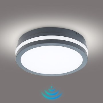 Brilagi - LED-välisvalgusti liikumisanduriga BENE, 18 W, 230 V, läbimõõt 22 cm, antratsiit, IP54