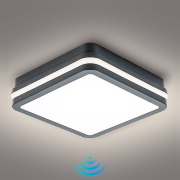 Brilagi - LED välisvalgusti liikumisanduriga BENE LED/18W/230V 22x22 cm antratsiit IP54