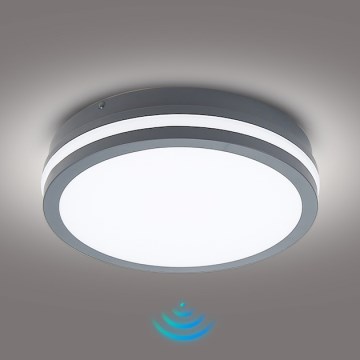 Brilagi - LED-välisvalgusti liikumisanduriga BENE LED/24W/230V, läbimõõt 26 cm, antratsiit, IP54