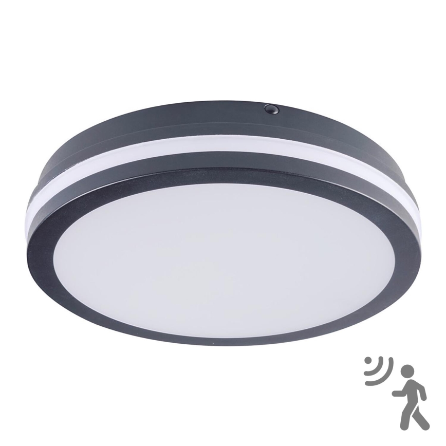 Brilagi - LED-välisvalgusti liikumisanduriga BENE LED/24W/230V, läbimõõt 26 cm, antratsiit, IP54