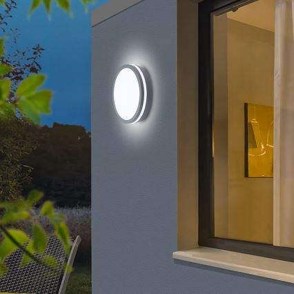 Brilagi - LED-välisvalgusti liikumisanduriga BENE LED/24W/230V, läbimõõt 26 cm, antratsiit, IP54