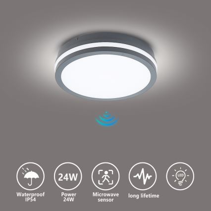 Brilagi - LED-välisvalgusti liikumisanduriga BENE LED/24W/230V, läbimõõt 26 cm, antratsiit, IP54