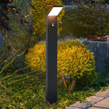 Brilagi - LED välisvalgusti liikumisanduriga RIANO LED/8W/230V antratsiit IP65