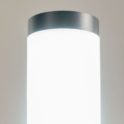 BRILAGI - LED välisvalgusti pistikupesaga ELIA 1xE27/7W/230V 4000K IP44 50 cm antratsiit